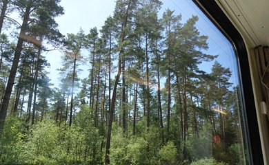 Through the forests of Bohemia