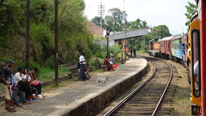 Train 1007 at Galboda