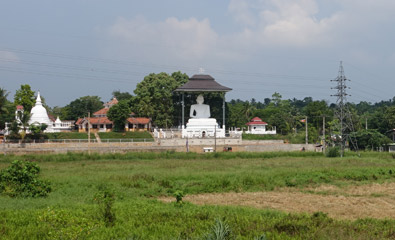Buddhist temple seen from train
